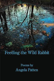 Feeding the Wild Rabbit
