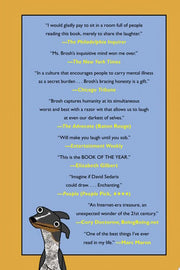 Hyperbole and a Half : Unfortunate Situations, Fla