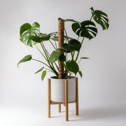 Adjustable Bamboo Plant Stand | Fits 6" - 10" pots
