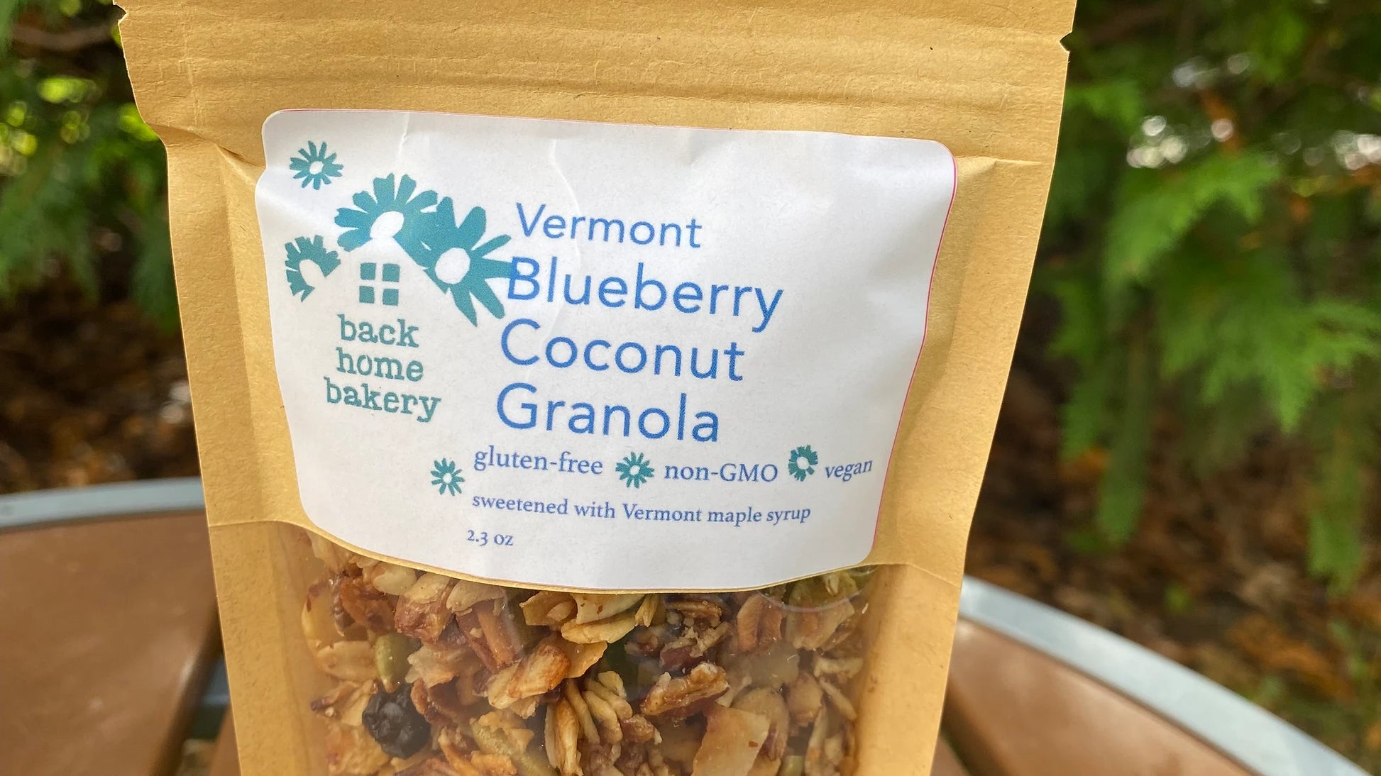 Blueberry Coconut Granola by Back Home Bakery