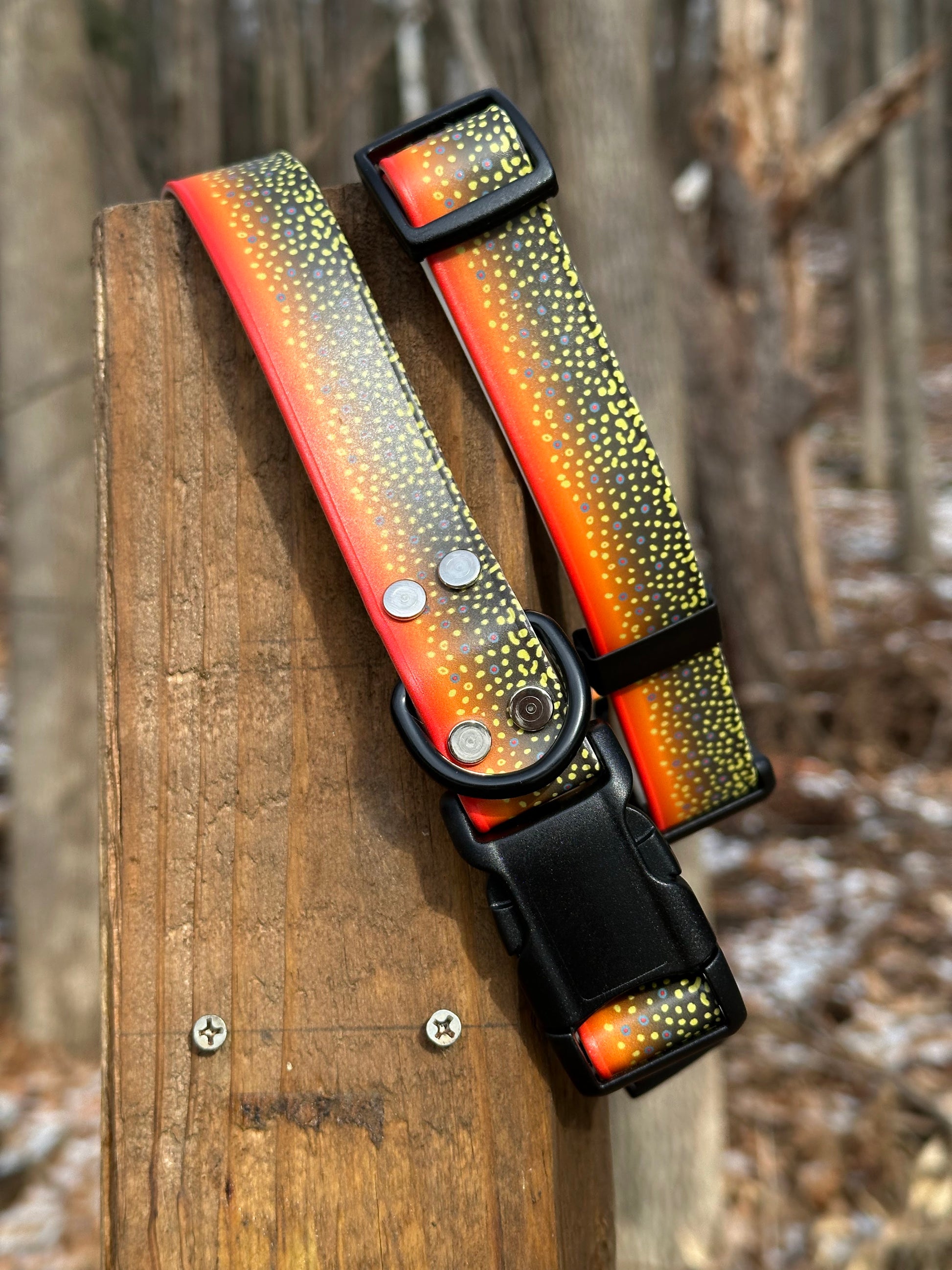 VT Life Sport Collar by Waggle Woof and Wander