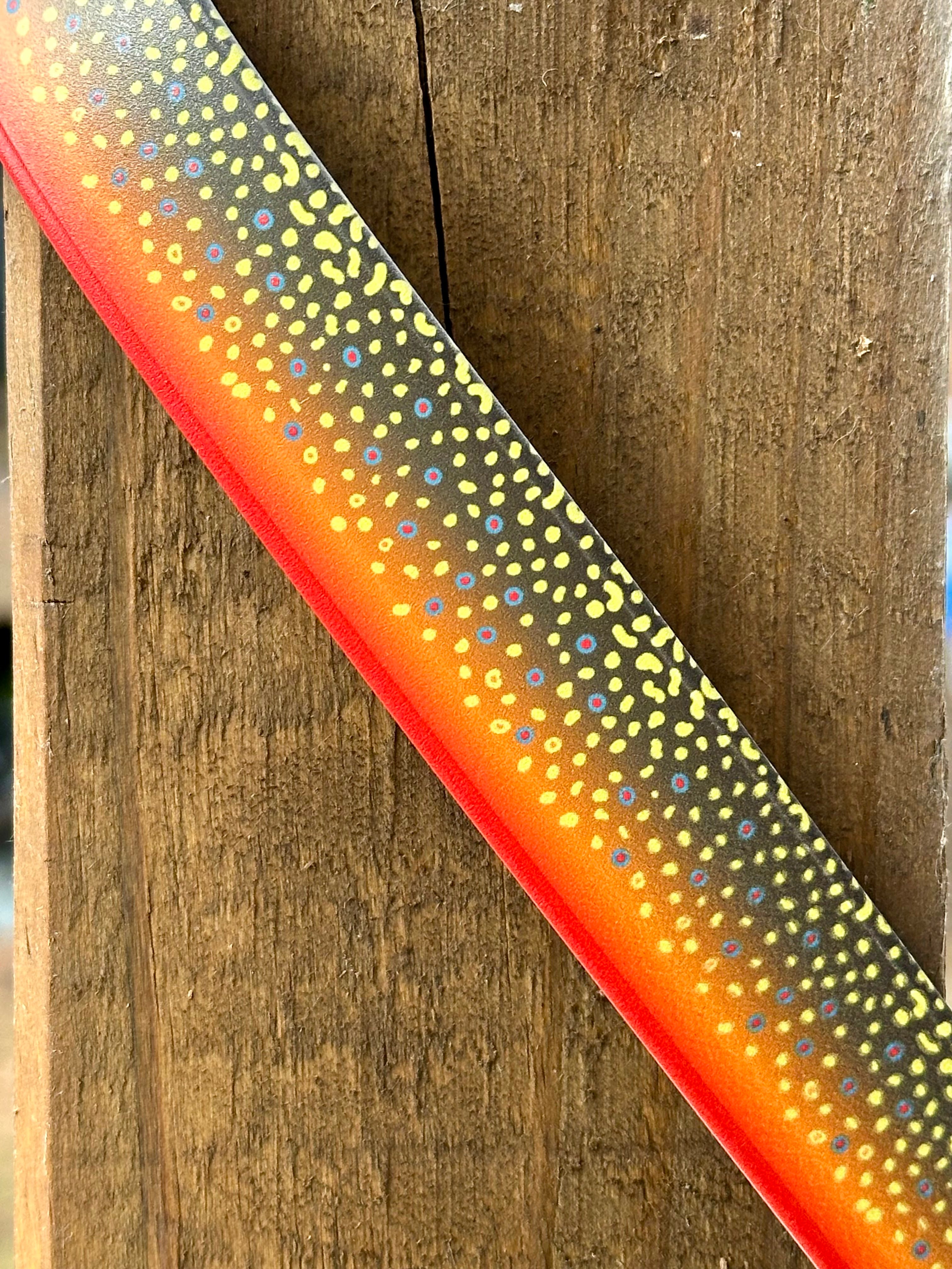 VT Life Sport Collar by Waggle Woof and Wander