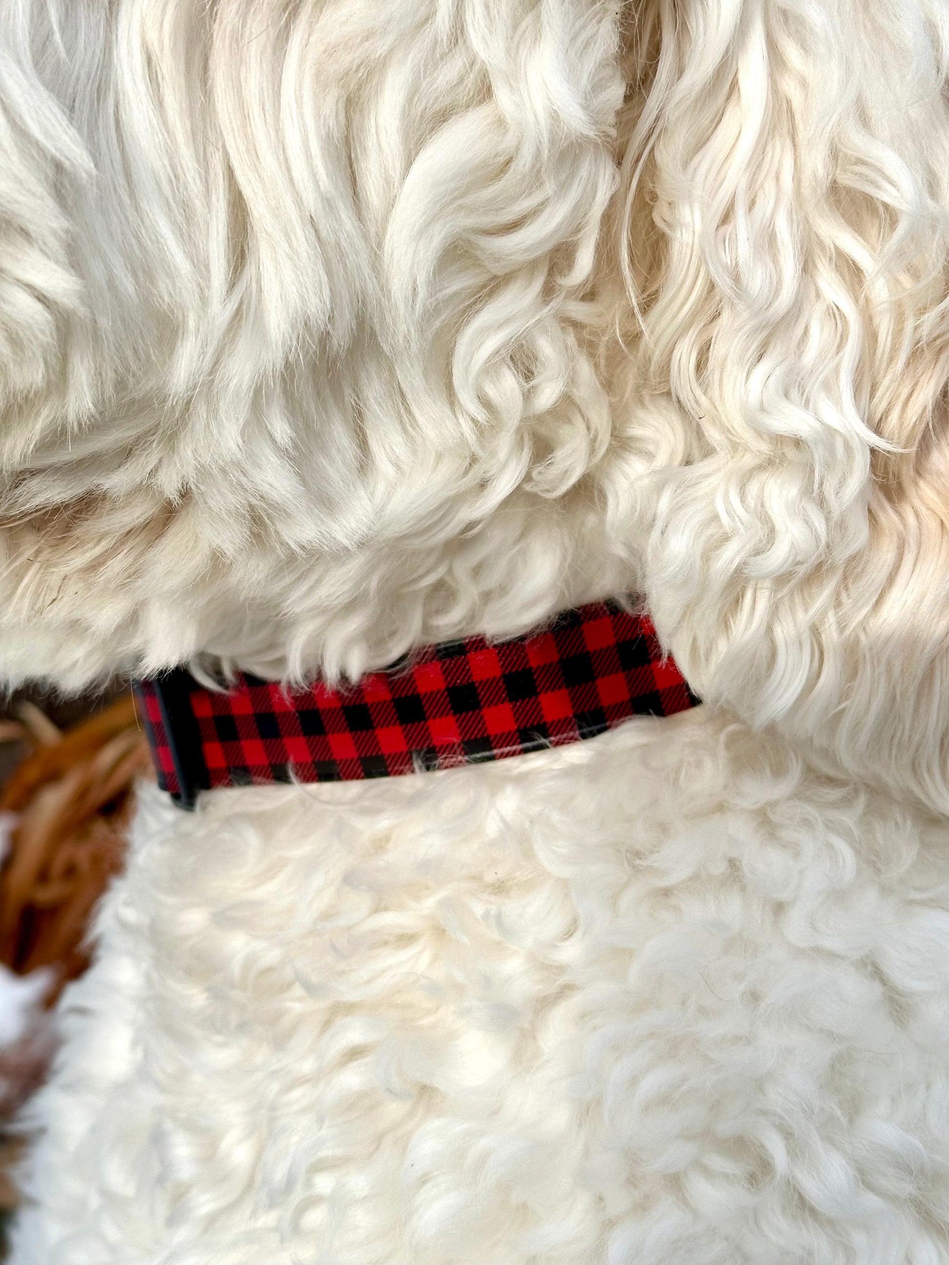 VT Life Sport Collar by Waggle Woof and Wander