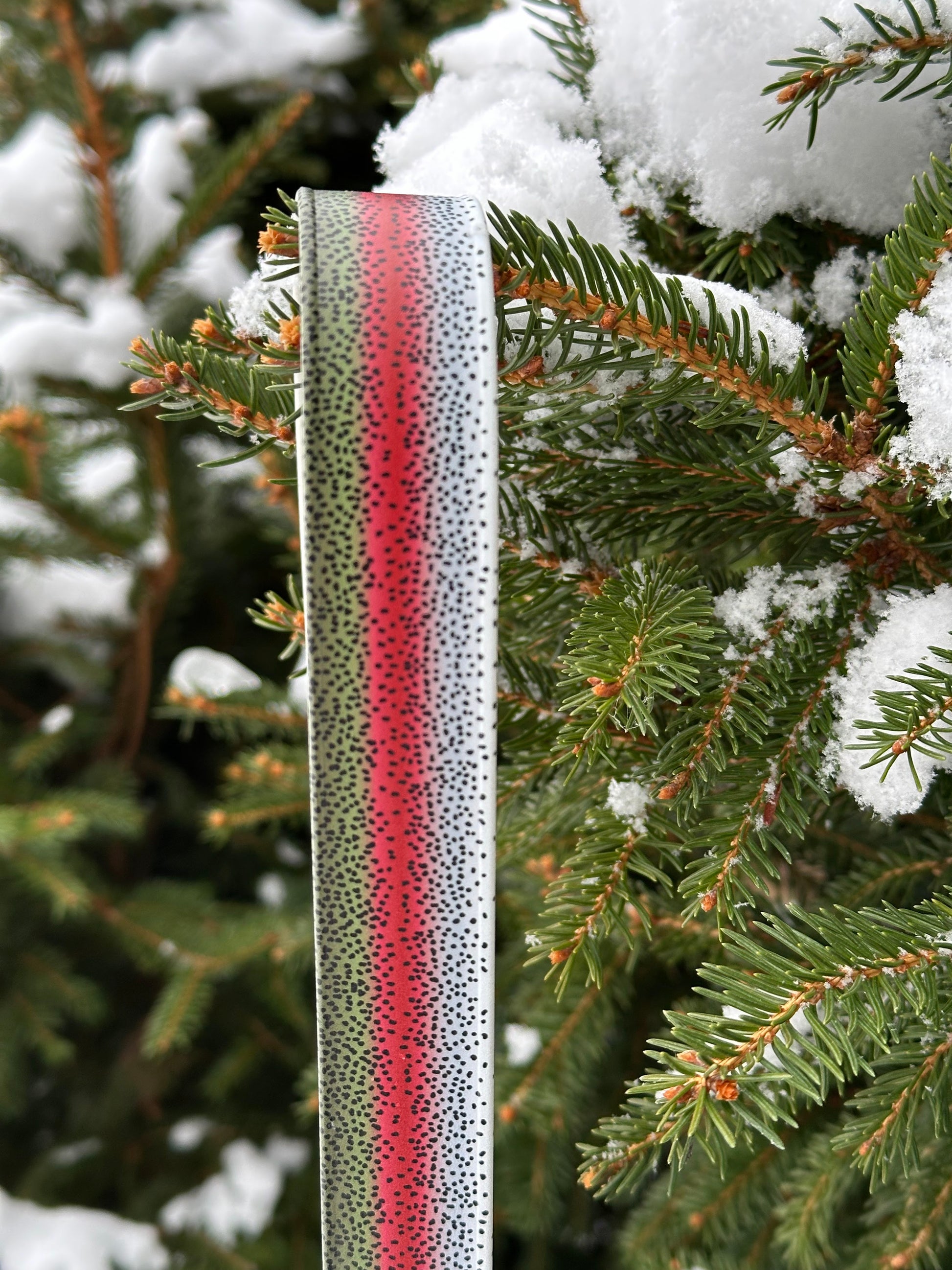 VT Life Sport Collar by Waggle Woof and Wander