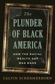 Plunder of Black America: How the Racial Wealth Ga