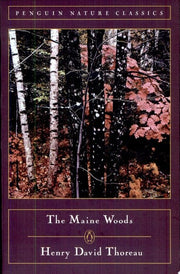 Maine Woods
