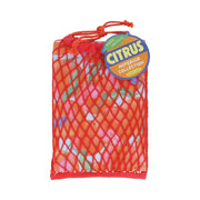 Chronicle Books Paper Produce Citrus Notebook Collection