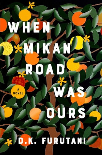 When Mikan Road Was Ours - A Novel