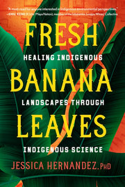 Fresh Banana Leaves Healing Indigenous Landscapes