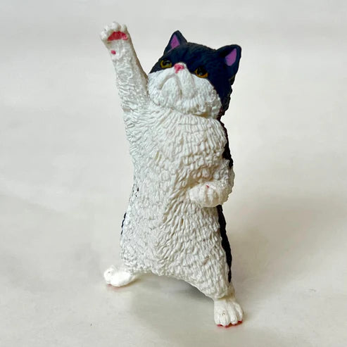 Gashapon Capsule For All Ages Nyaoo Cheer Cats (Sold As An Individual Capsule) by Homeportonline