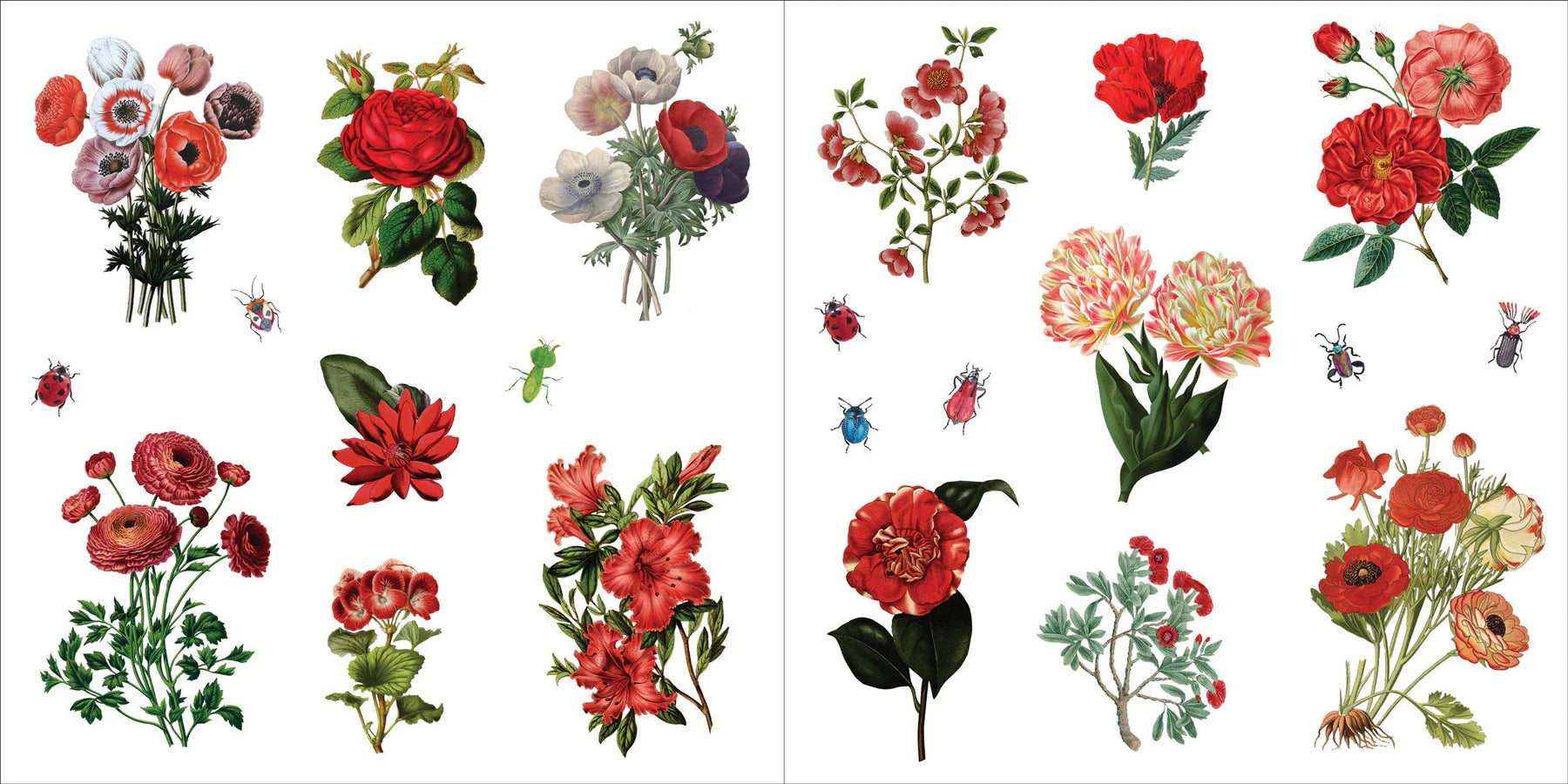 Sticker Book Bunches Of Botanicals by Homeportonline