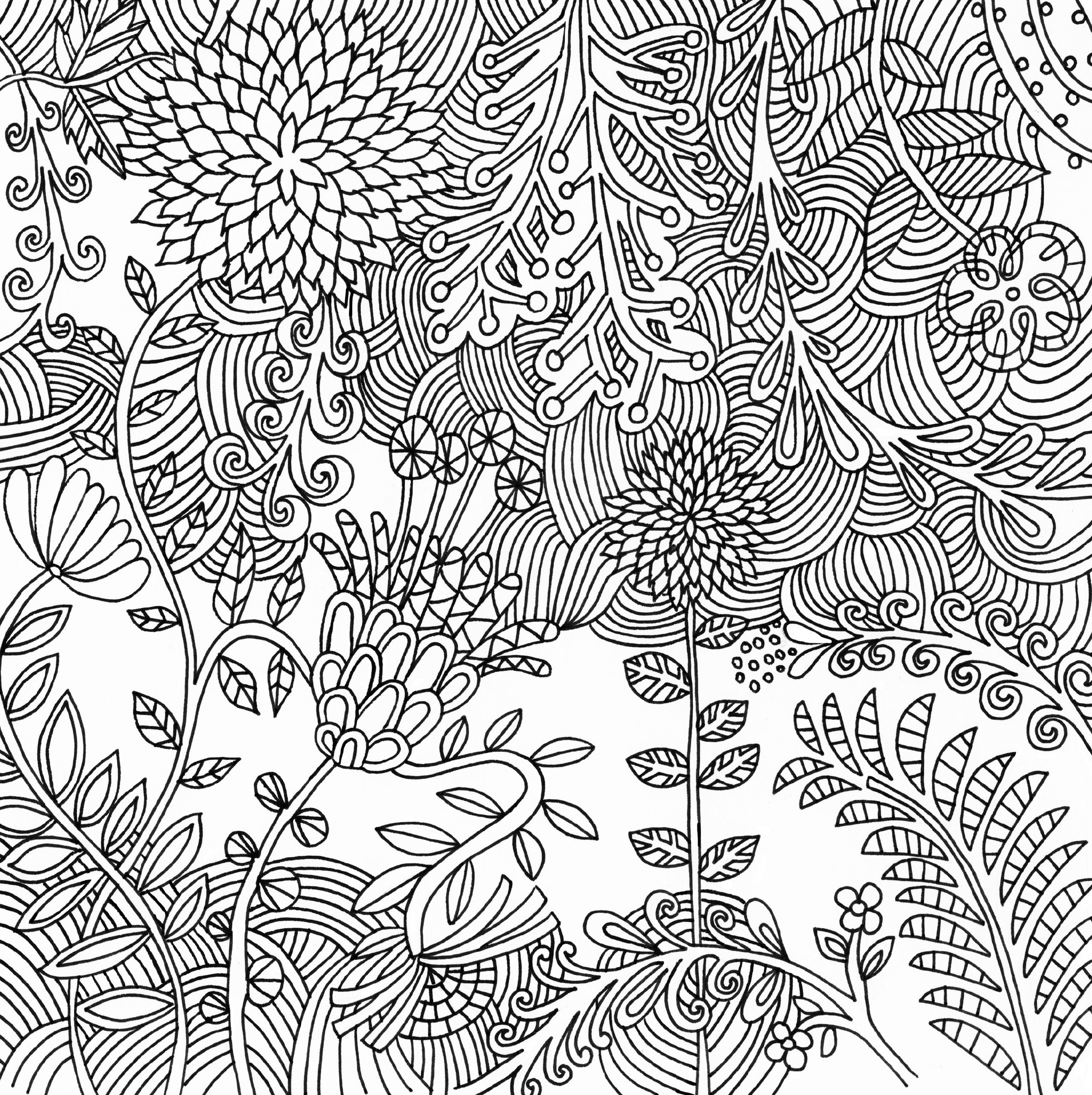 Artist's Adult Coloring Book Serenity by Homeportonline