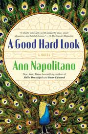 Good Hard Look : A Novel of Flannery O'connor