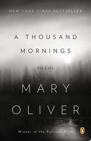 Thousand Mornings
