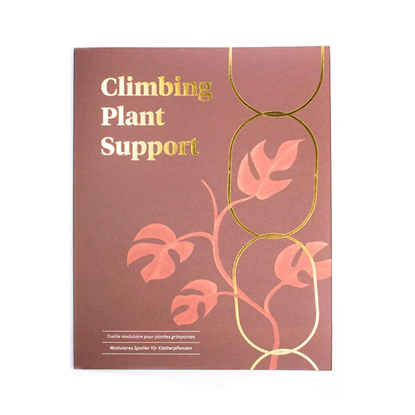 Gold Brass Chain - Plant Support For Climbing Plants