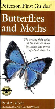 Peterson First Guide to Butterflies and Moths
