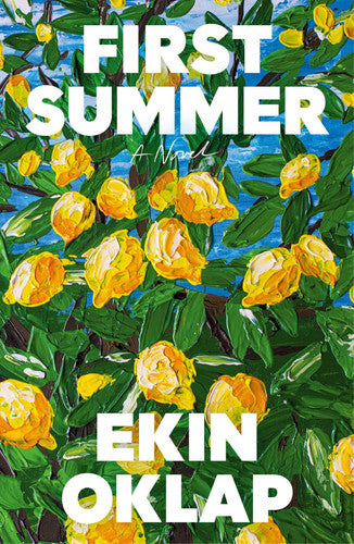 First Summer - A Novel
