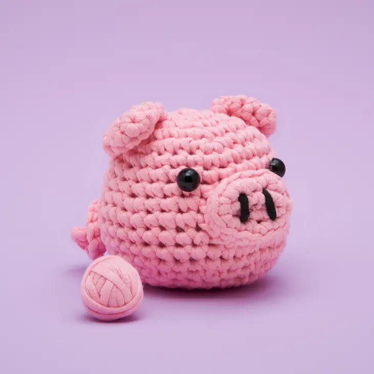 Beginner Crochet Kit