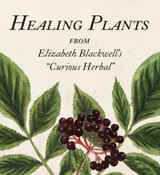 Healing Plants: From Elizabeth Blackwell's A Curio