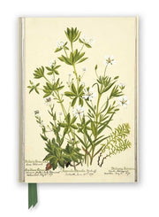 Rbge: Charlotte Cowan Pearson: Stitchworts, Woodruff and Pepperwort (Foiled Journal)