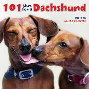 101 Uses for a Dachshund