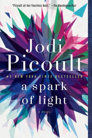 A Spark of Light A Novel