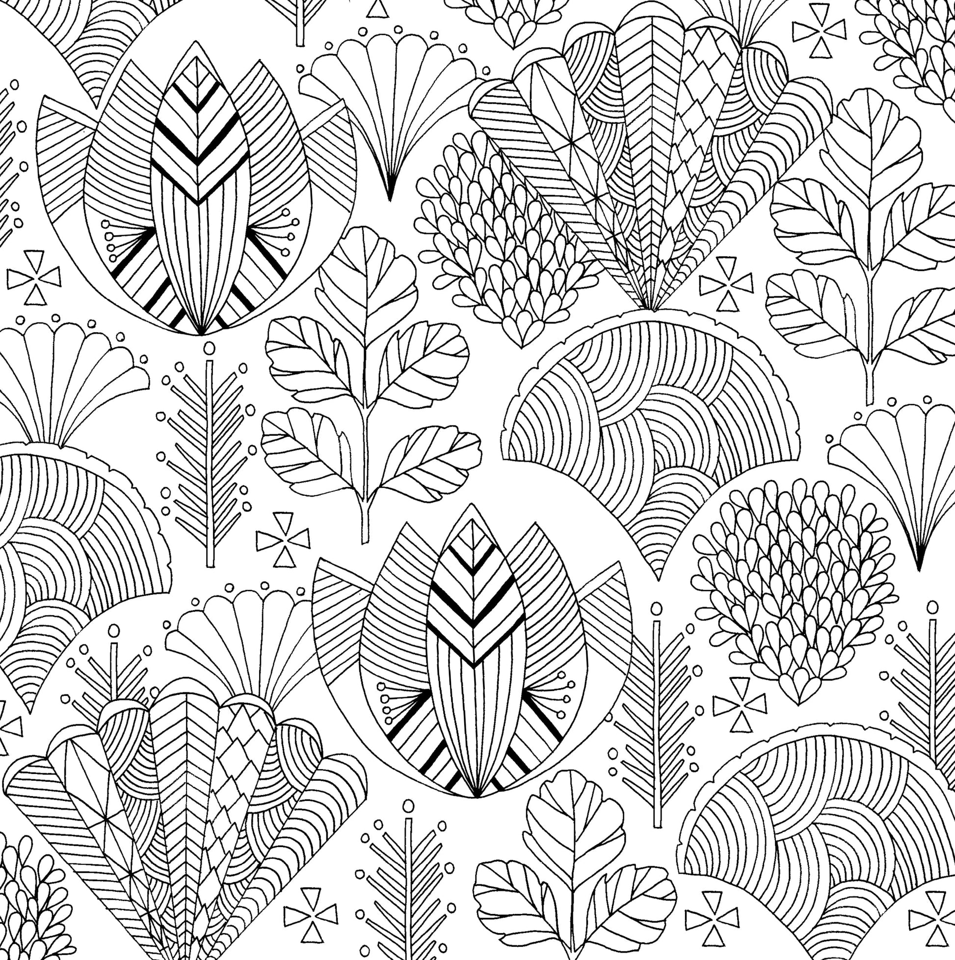 Artist's Adult Coloring Book Follow Your Dreams by Homeportonline