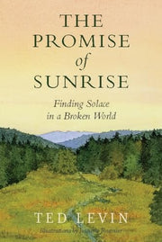 Promise of Sunrise: Finding Solace in a Broken Wor