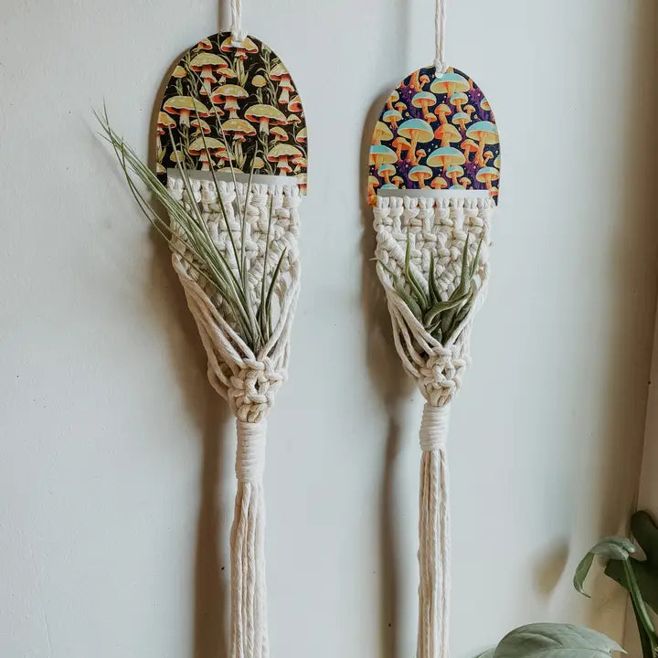 Air Plant Hanger