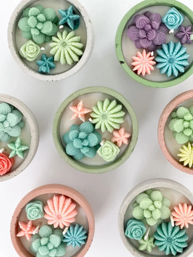 Sale!-Succulent Candle - Soy Wax - Concrete Vessel