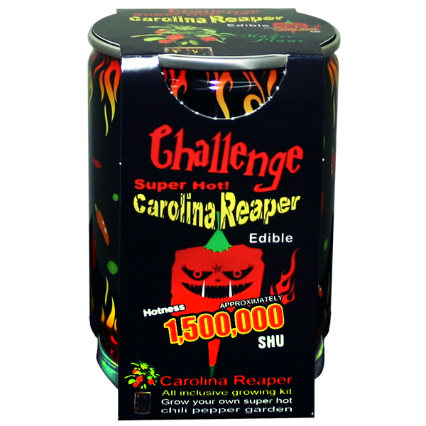 Moruga Scorpion Pepper Plant Can by Homeportonline