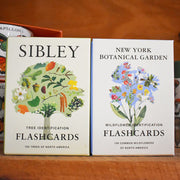 Flashcard