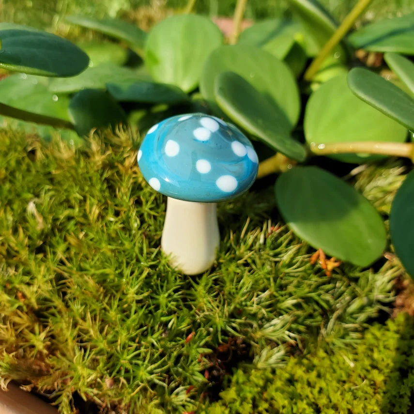 Mushroom Glass Plant Spike