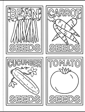My First Coloring Book On The Farm by Homeportonline