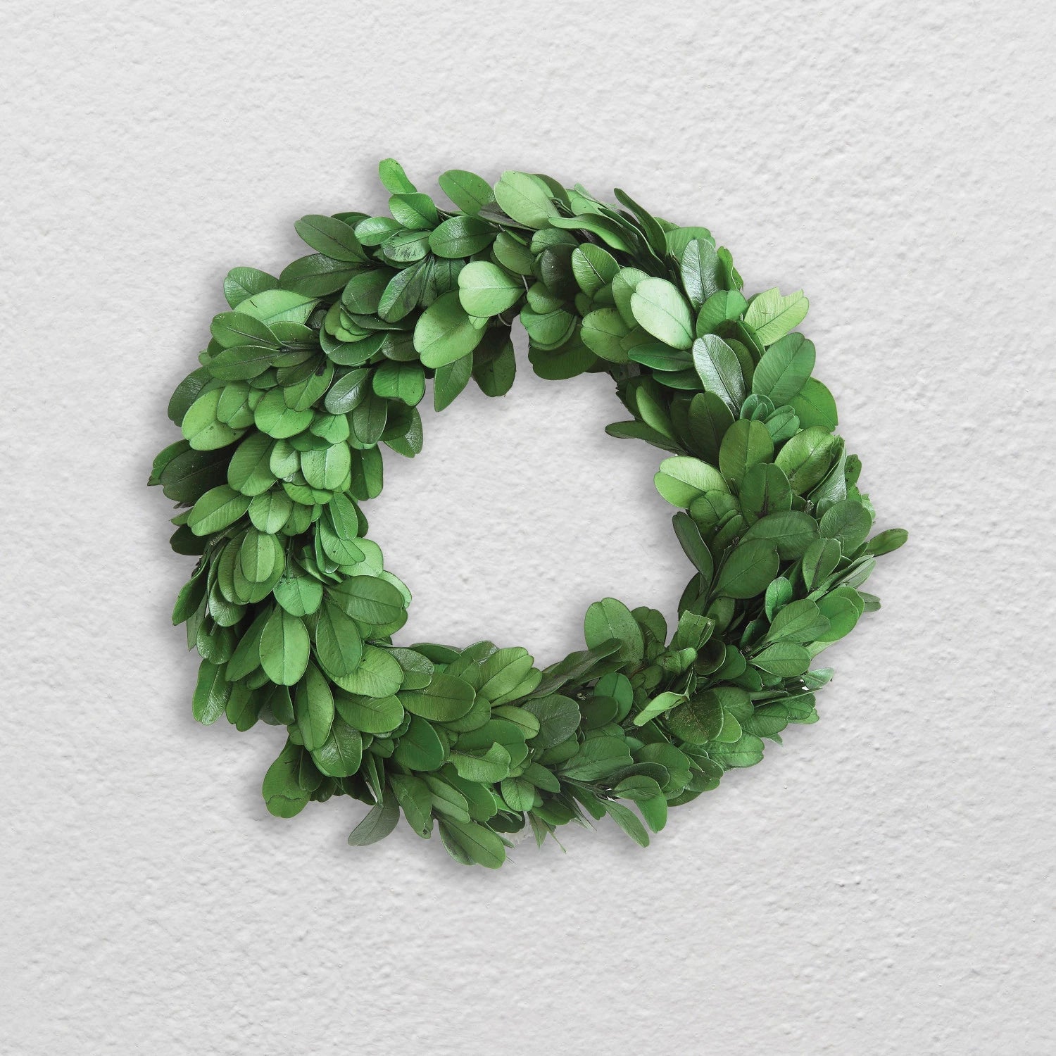 Decorative Boxwood Wreath 6"d by Homeportonline