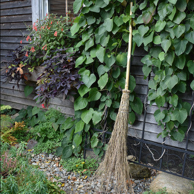 Witches Garden Broom