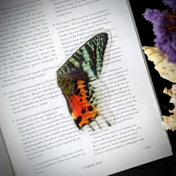 Clear Bookmark