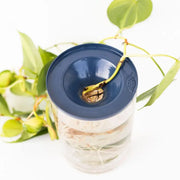Propagation Cone - Pack of 3 Aluminum Cones for Cuttings, Deep Blue