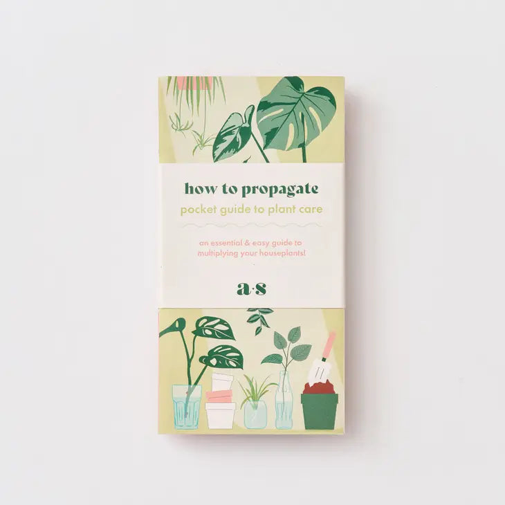 Propagation A Plant Pocket Guide For Houseplant Lovers