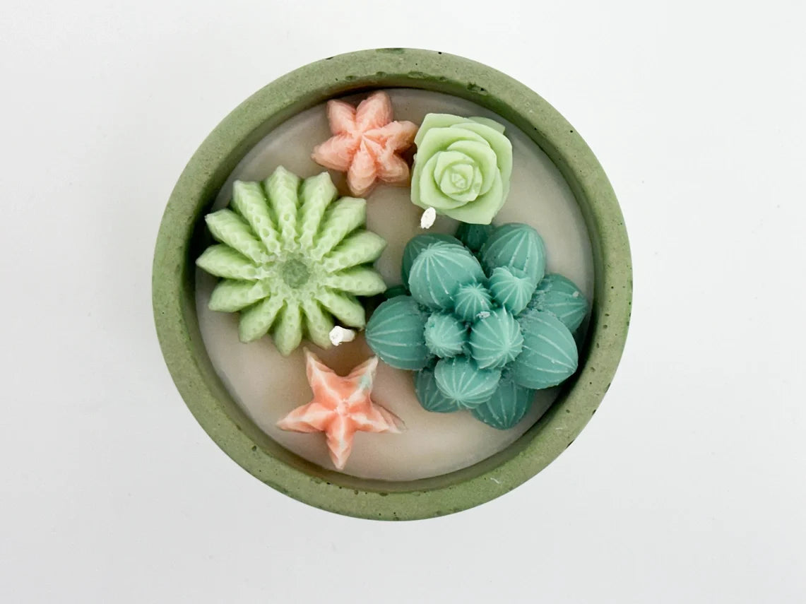 Sale!-Succulent Candle - Soy Wax - Concrete Vessel