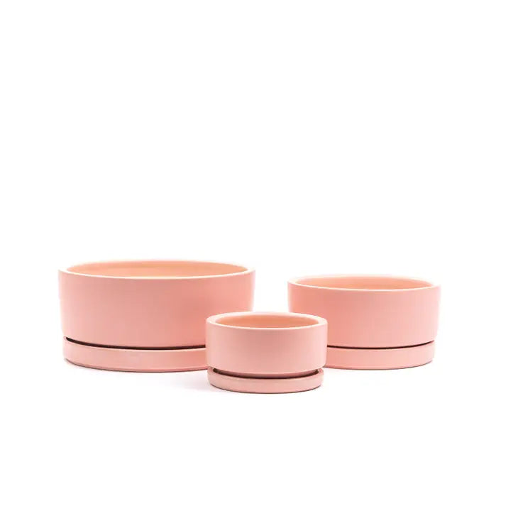 8.25" Gemstone Low-Bowls with Water Saucers