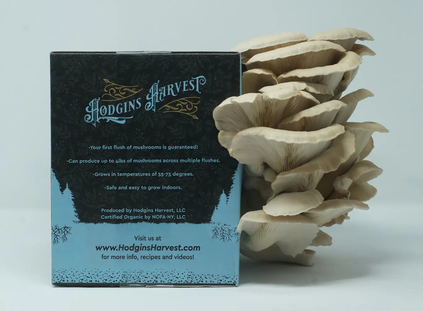 Organic Mushroom Grow-Your-Own Kits
