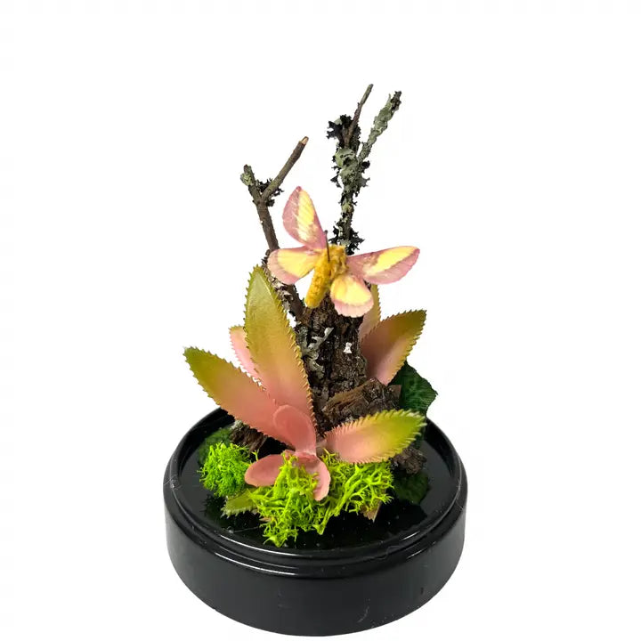 6X4 Inch Butterfly Dome Diorama