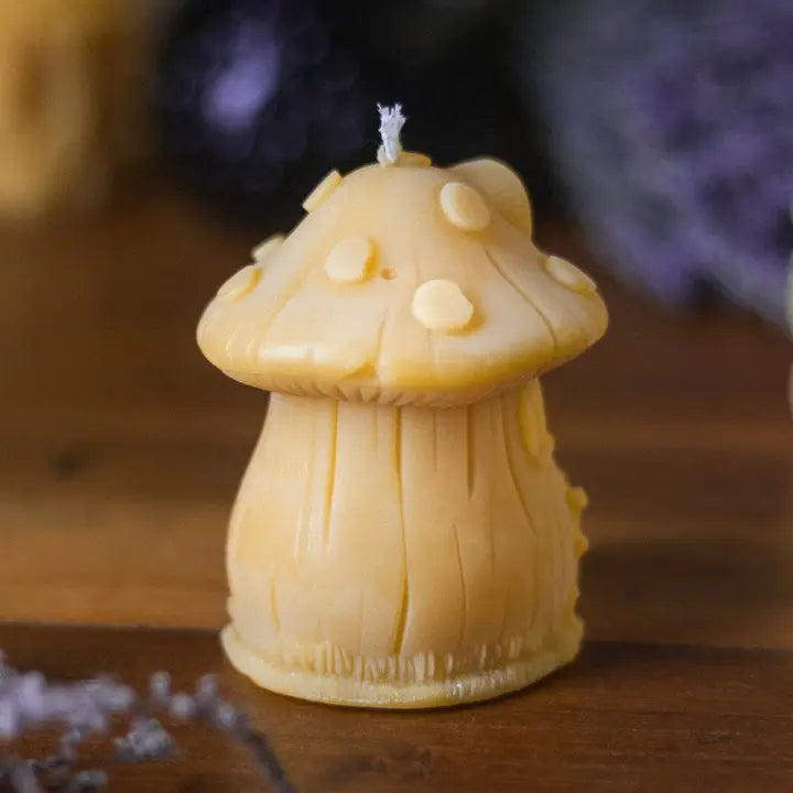 Toadstool Fairy House