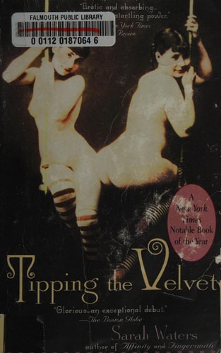Tipping the Velvet A Novel