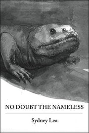 No Doubt the Nameless
