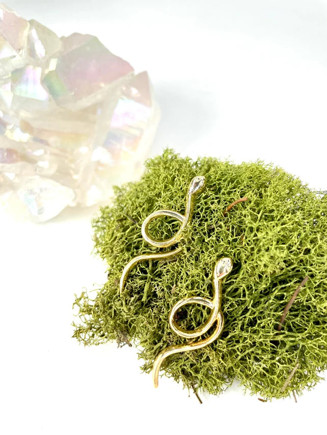 Indie South Earrings