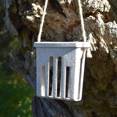 Suet Cake Feeder