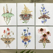 Notecard Set - Moths & Wildflowers On Blank Recycled Cards