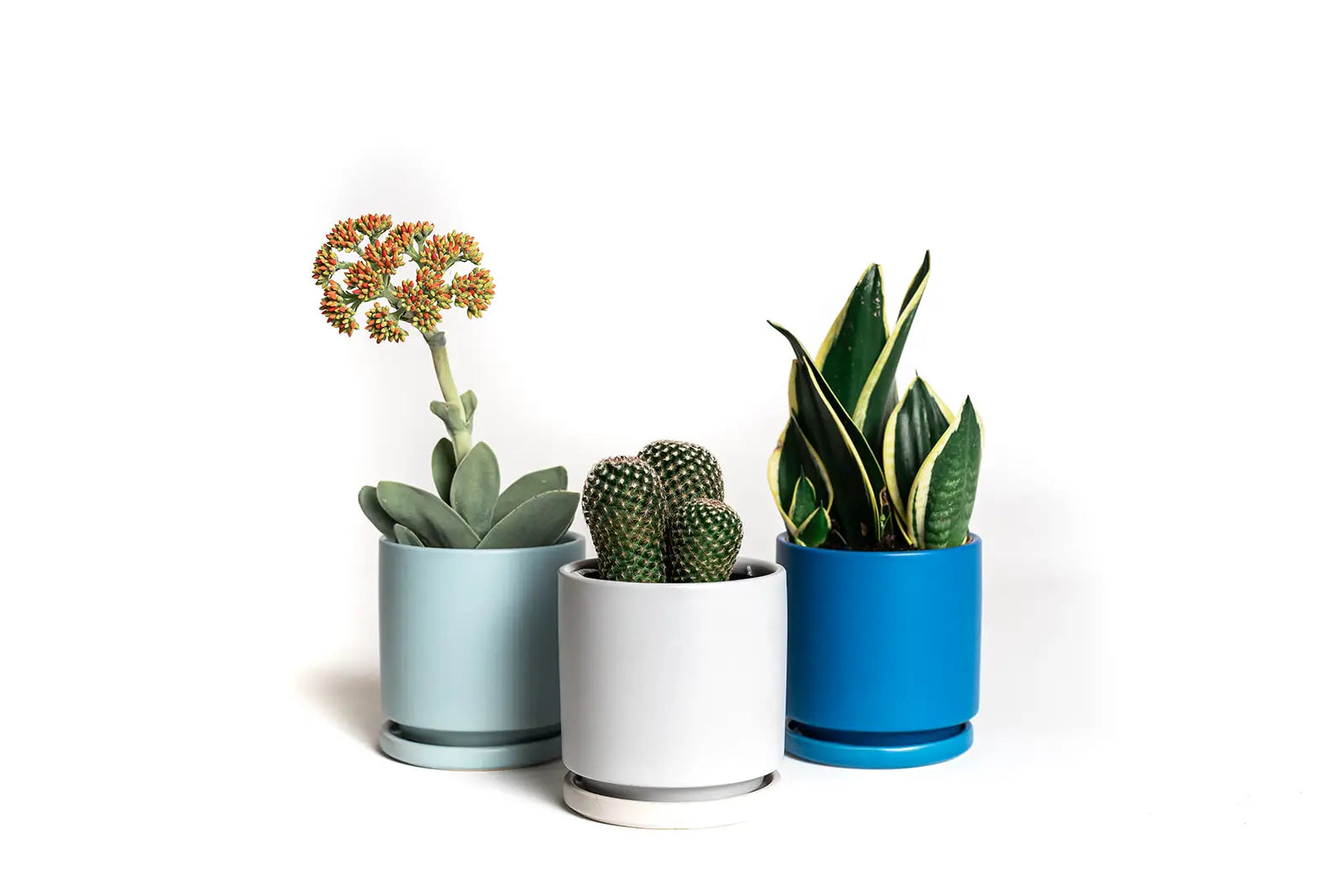 10.5" Gemstone Pot - with Water Saucer